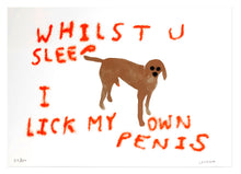 Load image into Gallery viewer, Dog Dick - A2 Screen Print
