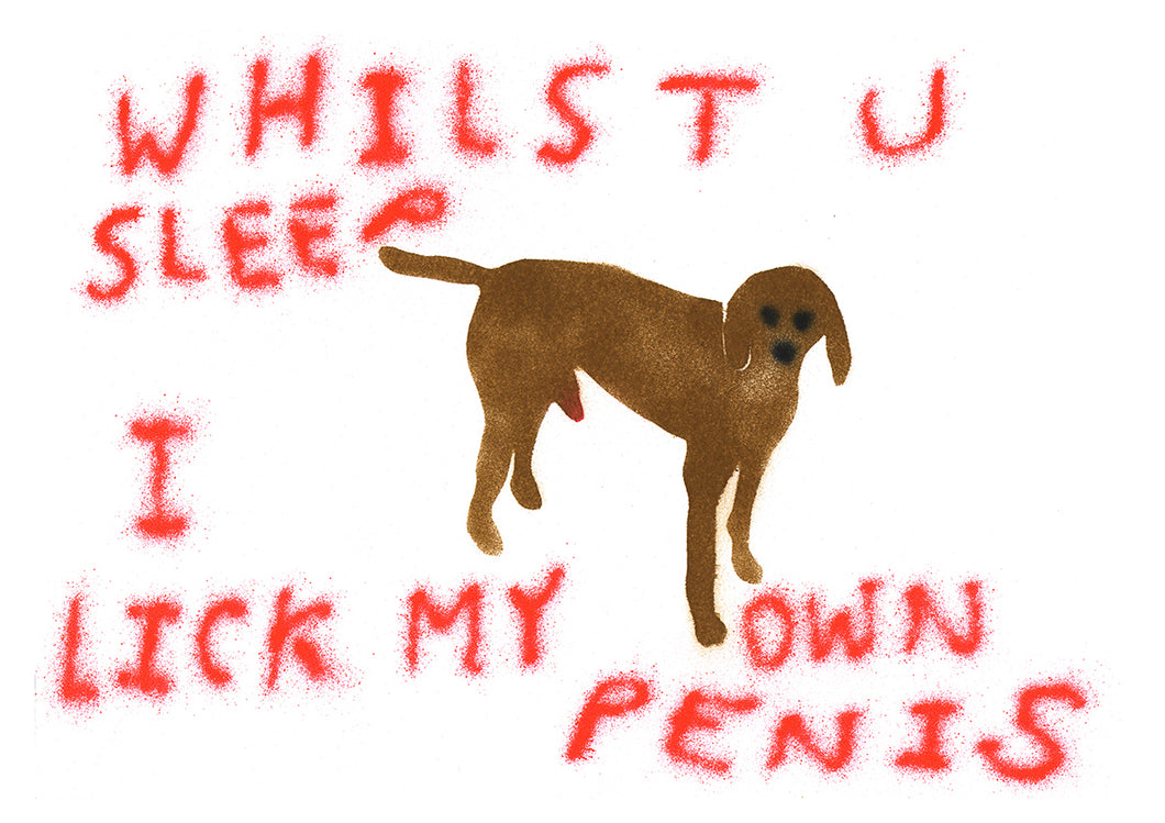 Dog Dick - A2 Screen Print